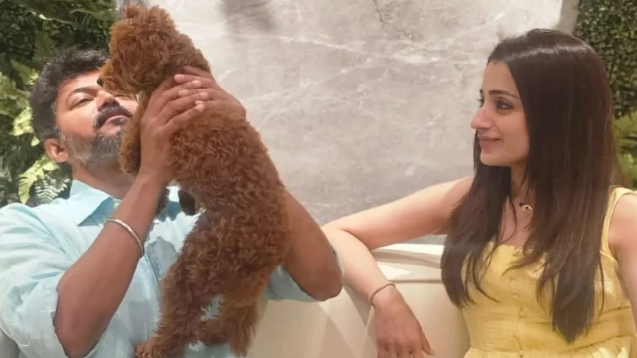 விஜய் பிறந்தநாளில் திரிஷா ஹார்ட் பிட் போஸ்ட் - அன்ஃபாலோ வதந்தி பொய் என்று தெளிவு!